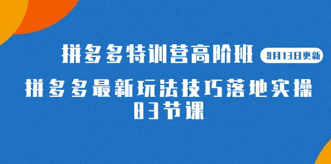 2023拼多多·特训营高阶班【9月13日更新】拼多多最新玩法技巧落地实操-83节-靠谱项目库