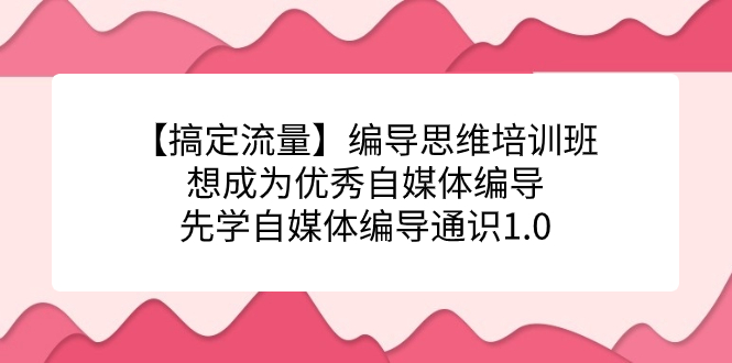 【搞定流量】编导思维培训班，想成为优秀自媒体编导先学自媒体编导通识1.0-靠谱项目库