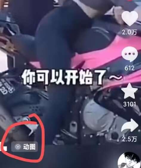 图片[2]-2024年7月苹果手机动图搬运技术-靠谱项目库