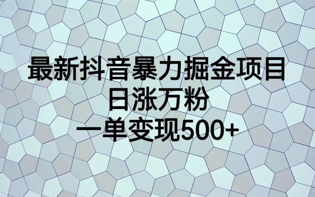 最新抖音暴力掘金项目，日涨万粉，一单变现500+-靠谱项目库