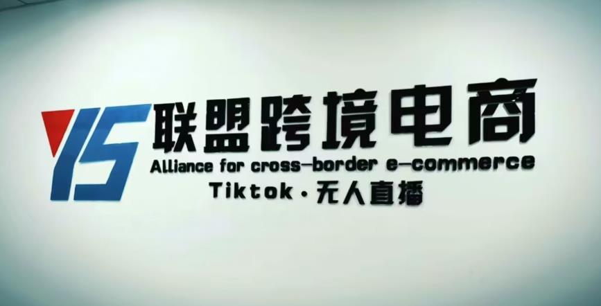 YS联盟·Tiktok无人直播，不出镜不剪辑不拍摄不发货无售后的跨境短视频躺赚玩法-靠谱项目库