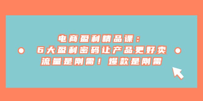 电商 盈利精品课：6大盈利 密码让产品更好卖，流量是刚需！爆款是刚需-靠谱项目库