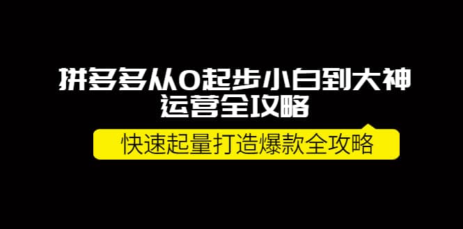 拼多多从0起步小白到大神运营全攻略-靠谱项目库