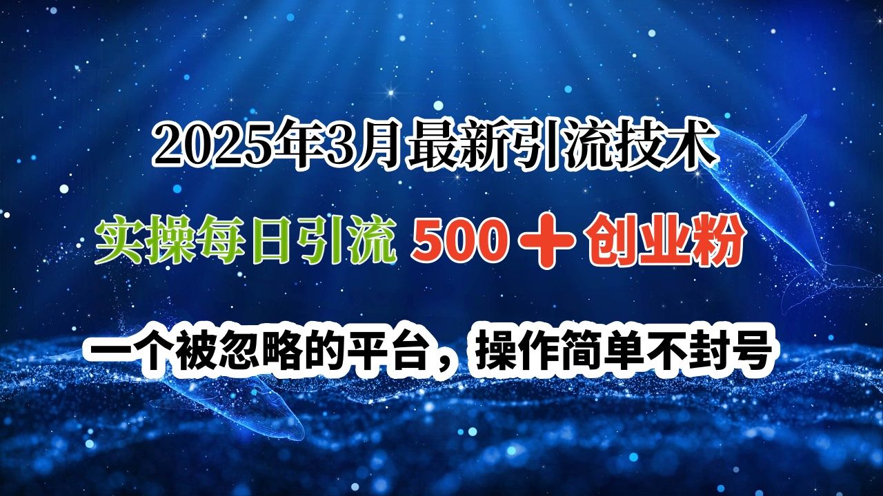 2025年3月最新引流技术，实操每日引流500➕创业粉，一个被忽略的平台，操作简单不封号-靠谱项目库