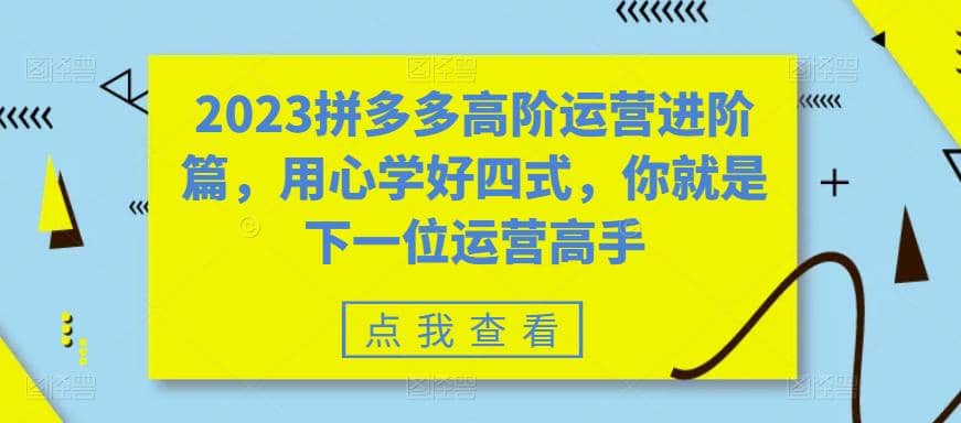 2023拼多多高阶运营进阶篇，用心学好四式，你就是下一位运营高手-靠谱项目库