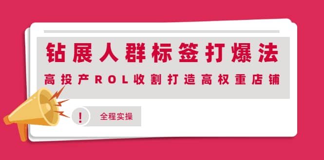 钻展人群标签打爆法，高投产ROL收割打造高权重店铺(全程实操)-靠谱项目库