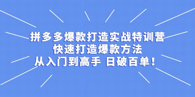 拼多多爆款打造实战特训营：快速打造爆款方法，从入门到高手 日破百单-靠谱项目库