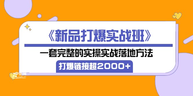 《新品打爆实战班》一套完整的实操实战落地方法，打爆链接超2000+（38节课)-靠谱项目库