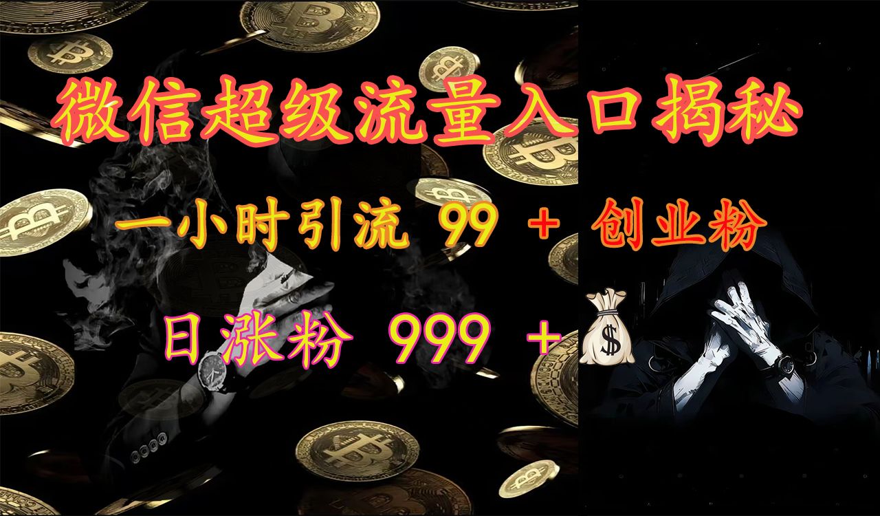 微信超级流量入口揭秘：一小时引流 99 + 创业粉，日涨粉 999 +【揭秘】-靠谱项目库