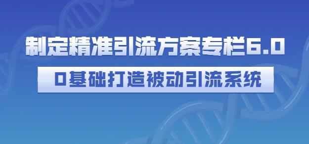 制定精准引流方案专栏6.0，0基础打造被动引流系统-靠谱项目库
