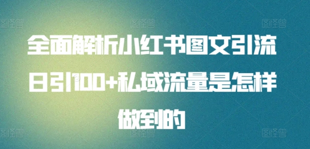 暴力引流 小红书图文引流日引100私域全面拆解【打粉人必看】-靠谱项目库
