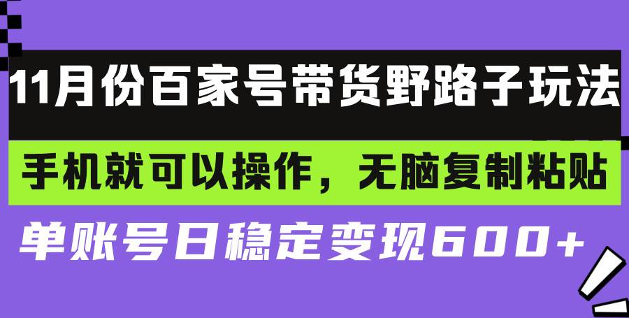 （13281期）百家号带货野路子玩法 手机就可以操作，无脑复制粘贴 单账号日稳定变现...-靠谱项目库