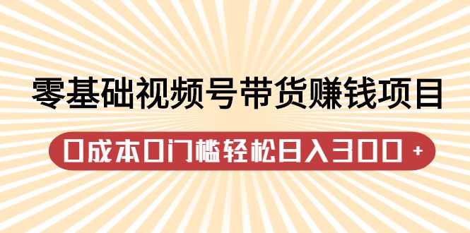 零基础视频号带货赚钱项目，0成本0门槛轻松日入300+【视频教程】-靠谱项目库