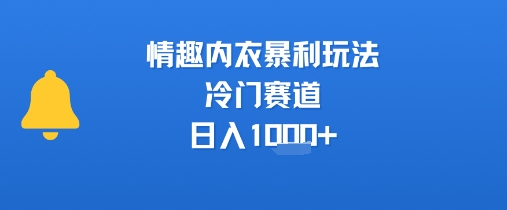 情趣内衣暴利玩法，冷门赛道，日入1k+-靠谱项目库