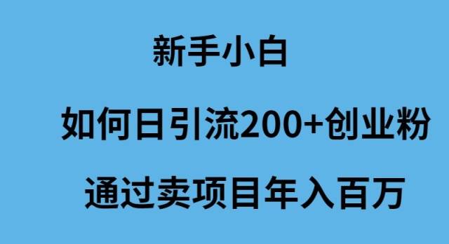 新手小白如何日引流200+创业粉通过卖项目年入百万-靠谱项目库