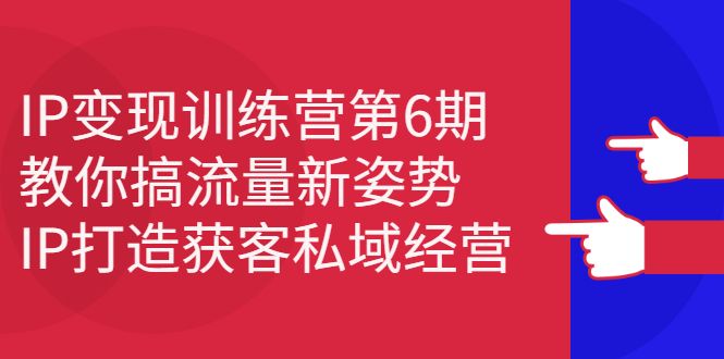 IP变现训练营第6期：教你搞流量新姿势，IP打造获客私域经营-靠谱项目库