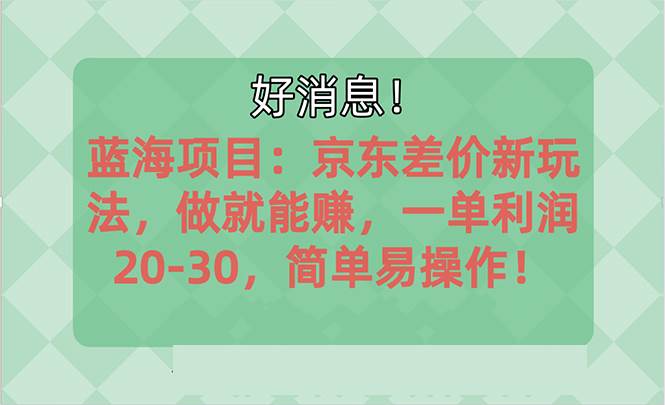 （10989期）越早知道越能赚到钱的蓝海项目：京东大平台操作，一单利润20-30，简单...-靠谱项目库