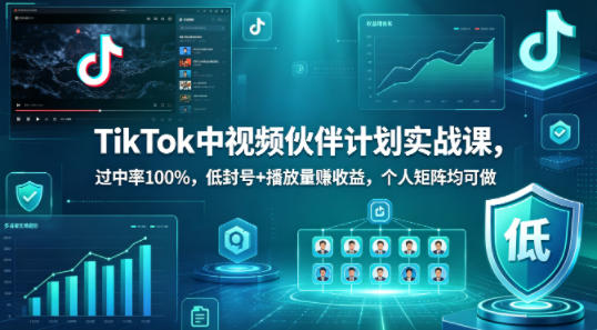 TikTok中视频伙伴计划实战课，过中率100%，低封号+播放量賺收益，个人矩阵均可做-靠谱项目库