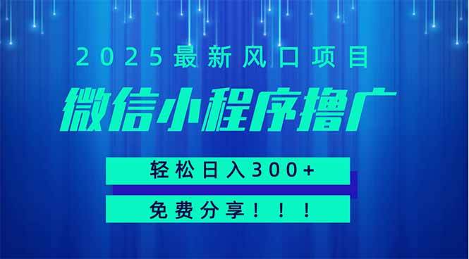 （14375期）微信小程序撸广，最新风口项目，日入300+ 免费分享 可批量操作 小白可...-靠谱项目库