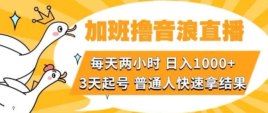 加班撸音浪直播，每天两小时，日入1000+，直播话术才3句，3天起号，普通人快速拿结果【揭秘】-靠谱项目库