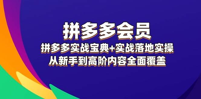 拼多多 会员，拼多多实战宝典+实战落地实操，从新手到高阶内容全面覆盖-靠谱项目库