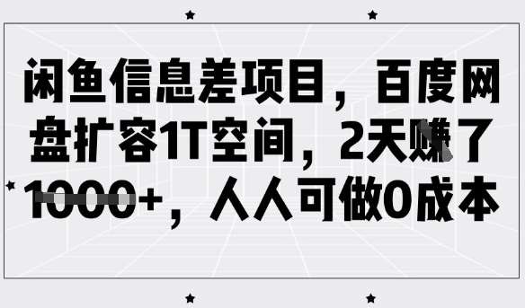 闲鱼信息差项目，百度网盘扩容1T空间，2天收益1k+，人人可做0成本-靠谱项目库