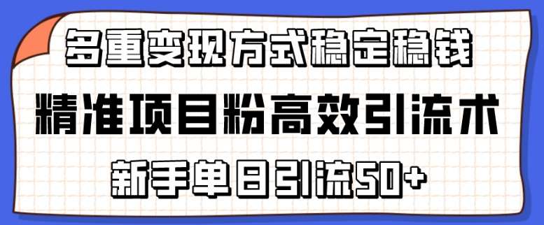 精准项目粉高效引流术，新手单日引流50+，多重变现方式稳定赚钱【揭秘】-靠谱项目库