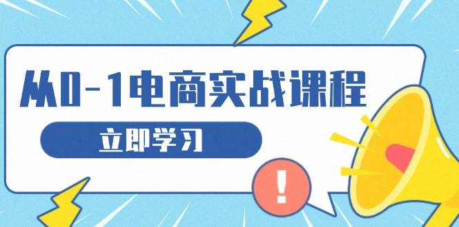 （13594期）从零做电商实战课程，教你如何获取访客、选品布局，搭建基础运营团队-靠谱项目库