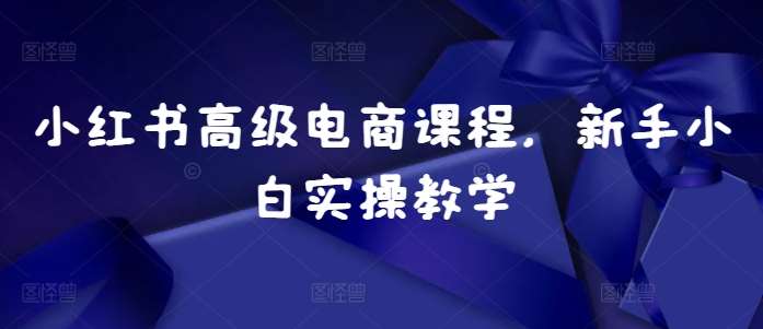 小红书高级电商课程，新手小白实操教学-靠谱项目库